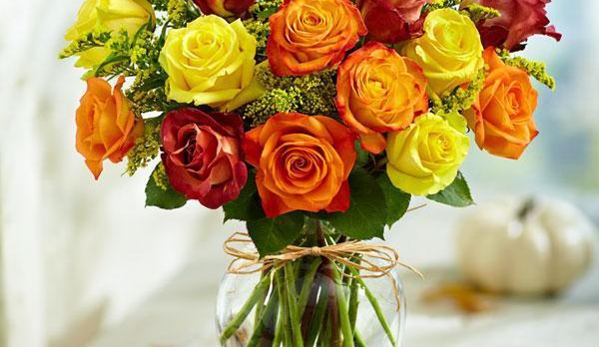 All Occasions Florist - Dallas, TX