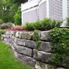 Conway Sprinkler & Landscape, Inc gallery