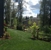 A-1 Tree Service Eastside - Tree Service