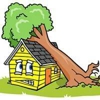 Texas Emergency Tree And Outdoor Services gallery