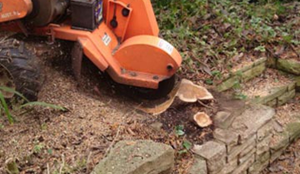 Horizon Tree Service - Brighton, TAS