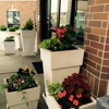 Holiday Inn Express & Suites Peru - Lasalle Area by IHG gallery