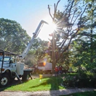 Jackson Tree  Service