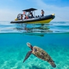 Diamond Head Cruises gallery