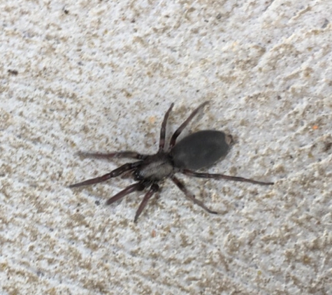 Perkins Exterminators Pty Ltd - Greensborough, VIC