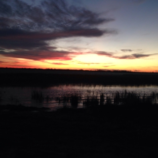 Cheboygan State Park - Cheboygan, MI