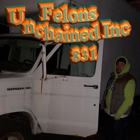 Felons Unchained Inc
