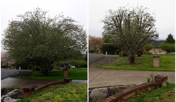 Arbor City Tree Care - Vancouver, WA