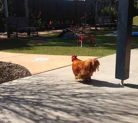 Tillys Play & Development Centre - Waratah, NSW