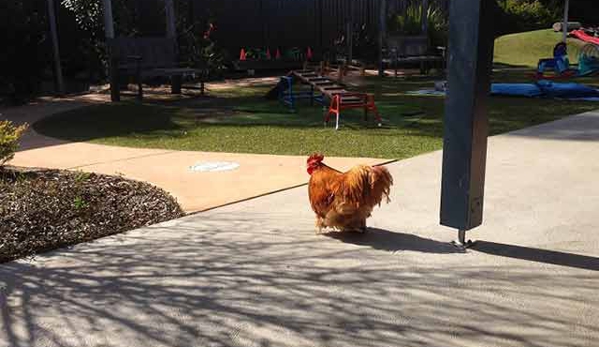Tillys Play & Development Centre - Muswellbrook, NSW