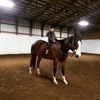 Kaizen Horse Training and Lessons gallery