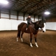 Kaizen Horse Training and Lessons