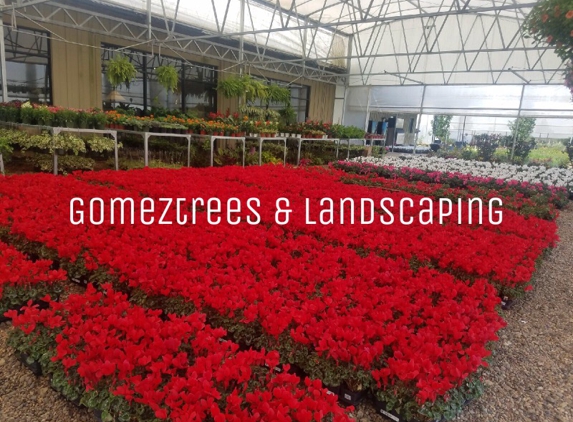 Gomez Trees & Landscaping