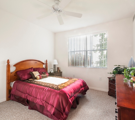 Lexington Club at Renaissance Square Apartments - Clearwater, FL