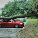 Pete and Ron's Tree Service Inc - Stump Removal & Grinding