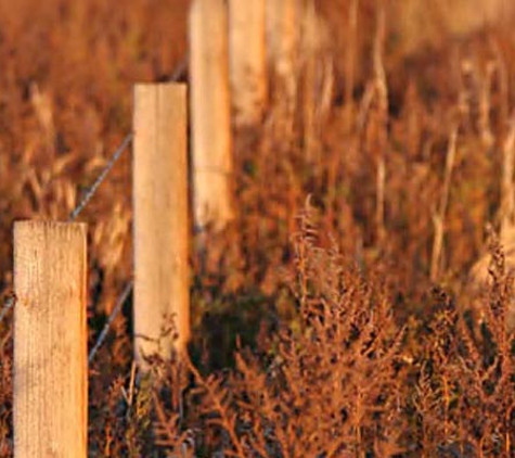 Steed Surveyors & Land Divisions