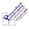 Diamondback Landscaping & Lawncare Inc. gallery