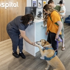 Livewell Animal Hospital of Edmond