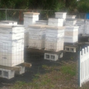 Space Coast Bee Services, Inc. - Bee Control & Removal Service