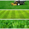 high performance landscaping lawn service gallery