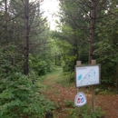Chippewa National Forest - Foresters