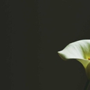 Strong Arm Injury Attorneys - Attorneys