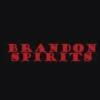 Brandon Spirits gallery