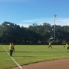 Safety Harbor Little League gallery