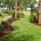 Palmetto Landscaping & Design