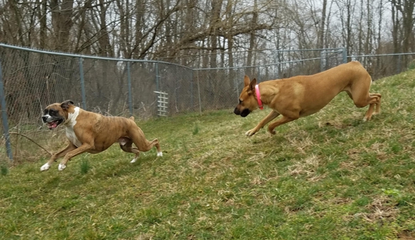 Happy Spot Pet Resort - Georgetown, KY