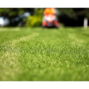 Modern Lawn Care LLC - Lawn Maintenance