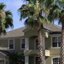 The Orlando Roofing Co - Roofing Contractors