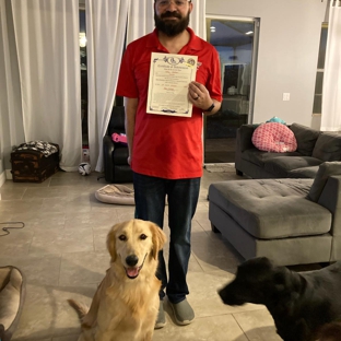 All American Dog Training Academy