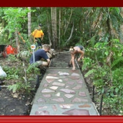 Gallery Image Number 7