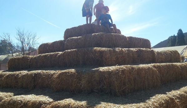 Underwood Family Farms - Moorpark - Moorpark, CA. A hay mountain leading right up to the sky!