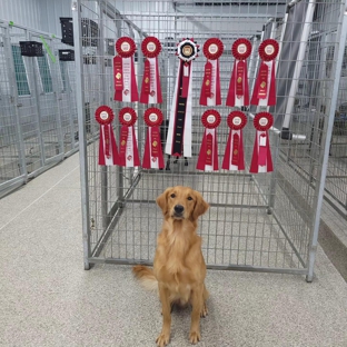 The Kennel At Five Forks - Windsor, VA