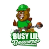 Busy Lil Beavers LLC gallery