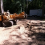 Manley's Stump Grinding