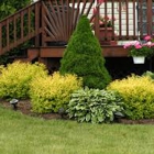 Big Heart Landscaping