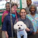 Animal Kingdom - East Orange - Pet Grooming