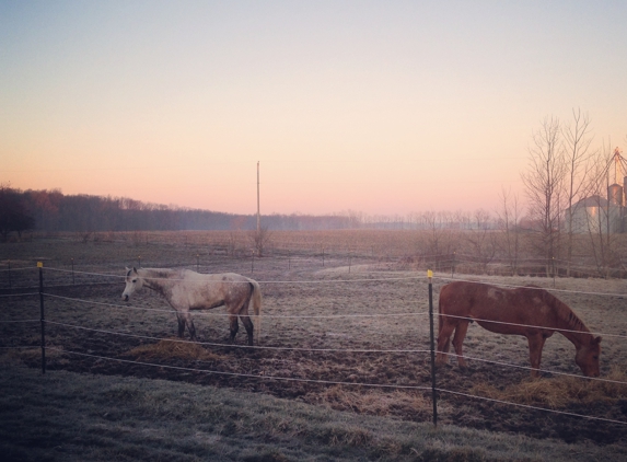 Doublestar Equestrian - Mason, MI