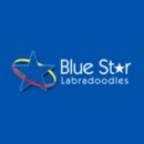 Blue Star Labradoodles - Dog Training