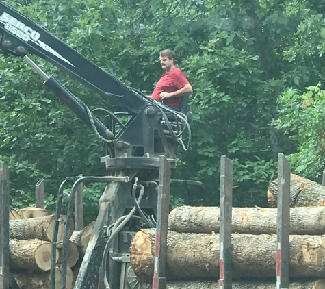 Wallis Logging - Salem, MO