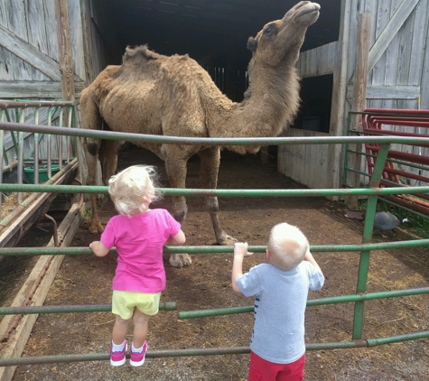 Circle G Ranch: Wild Animal Park & Camel Safari - Strawberry Plains, TN