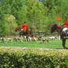 Queen's Cup Steeplechase gallery