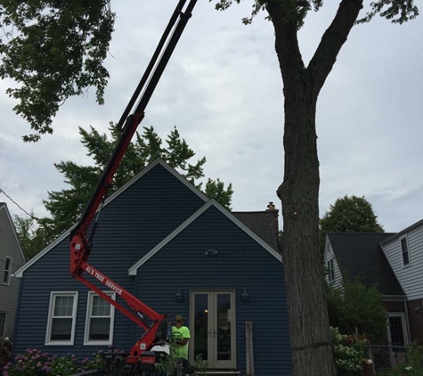 Al’s Tree service - Buffalo, NY