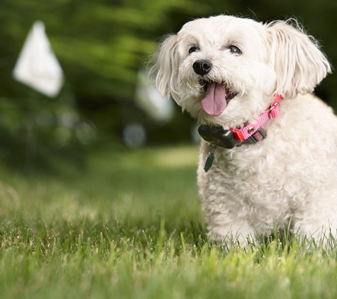 DogWatch of the Twin Cities - Eden Prairie, MN