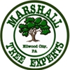 Marshall Tree Experts gallery