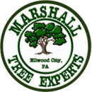 Marshall Tree Experts - Tree Service