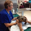 Seven Hills Veterinary Hospital - Veterinarians